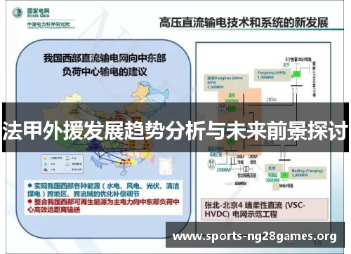 法甲外援发展趋势分析与未来前景探讨 法甲外援发展趋势分析与未来前景探讨