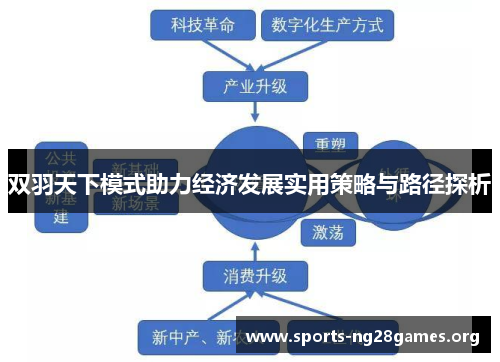 双羽天下模式助力经济发展实用策略与路径探析