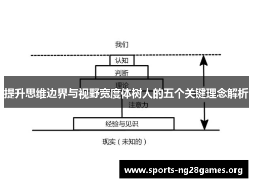 提升思维边界与视野宽度体树人的五个关键理念解析