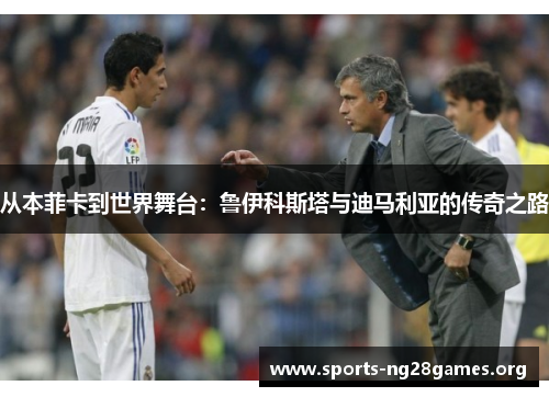 从本菲卡到世界舞台：鲁伊科斯塔与迪马利亚的传奇之路