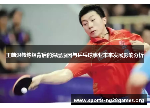 王皓退教练组背后的深层原因与乒乓球事业未来发展影响分析 王皓退教练组背后的深层原因与乒乓球事业未来发展影响分析