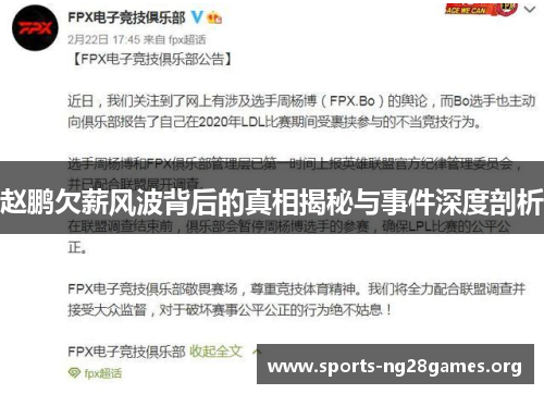 赵鹏欠薪风波背后的真相揭秘与事件深度剖析 赵鹏欠薪风波背后的真相揭秘与事件深度剖析