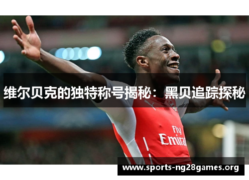 维尔贝克的独特称号揭秘：黑贝追踪探秘